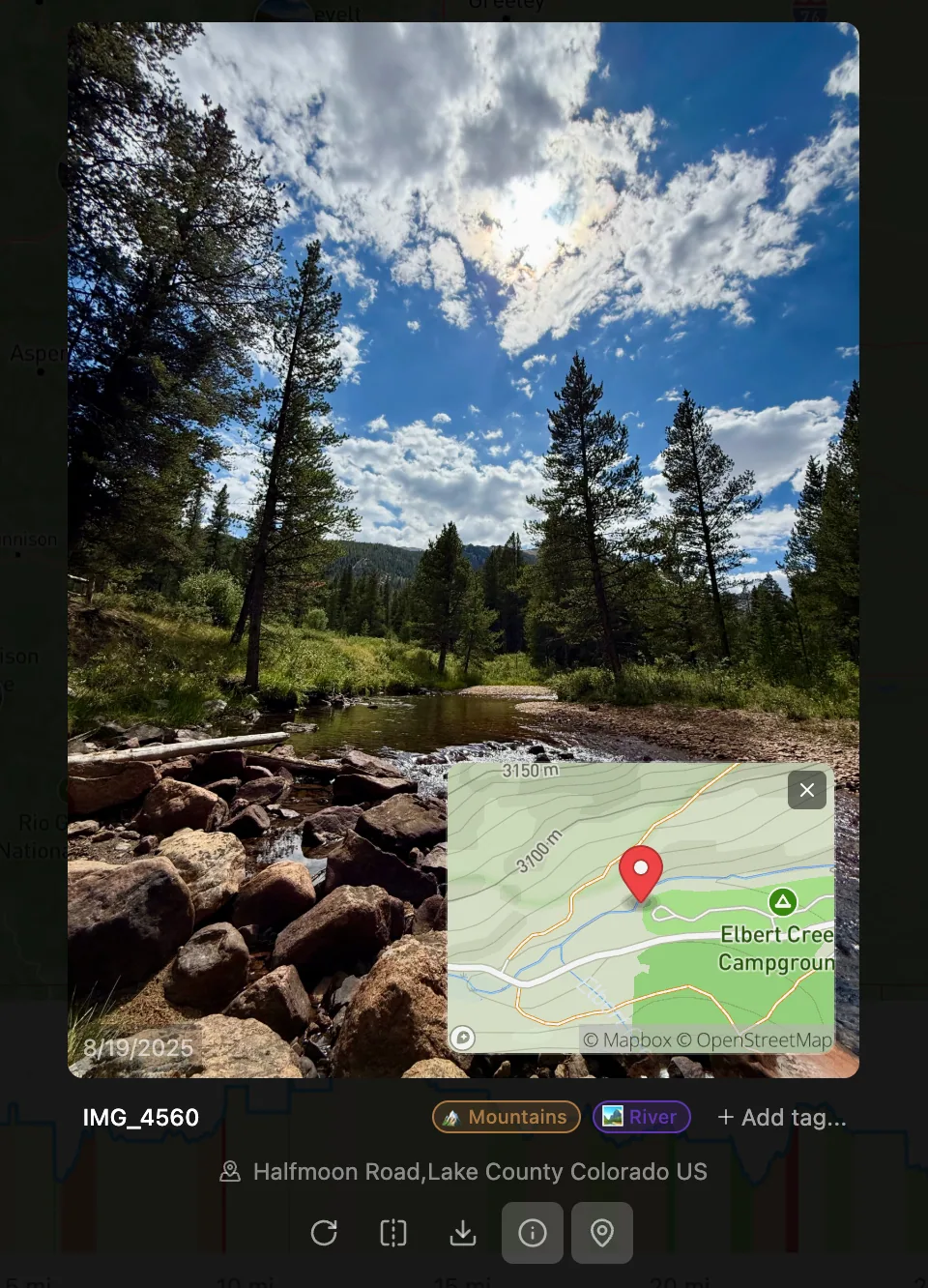 Media gallery with photos and videos